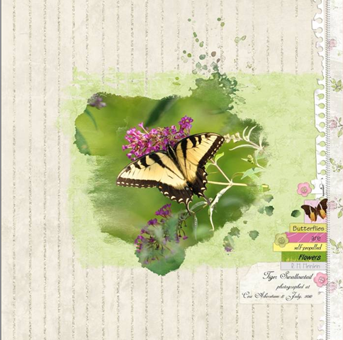 My first scrapbook page, it's butterfly themed. Is anyone as big a fan of  butterflies as I am? Any advice? : r/scrapbooking
