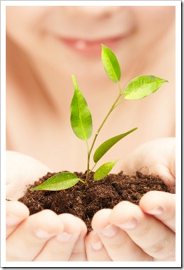 The boy observes cultivation of a young plant.