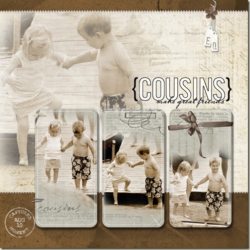 CousinsGIS