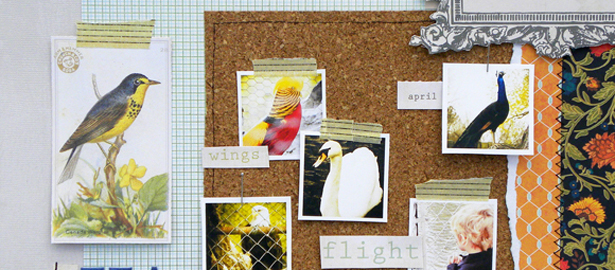 What’s Your Motif? Ideas for using Birds on your Scrapbook Pages