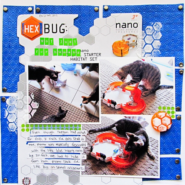 Colorbok Scrapbook Box Kit All Occasions, Scrapbook Kit 