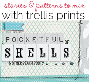 Storytelling and Patterned Paper Mixing with the Trellis Prints