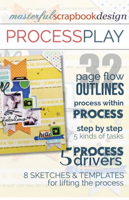 GISMembership-2014-03-MSD-ProcessPlay_Cover