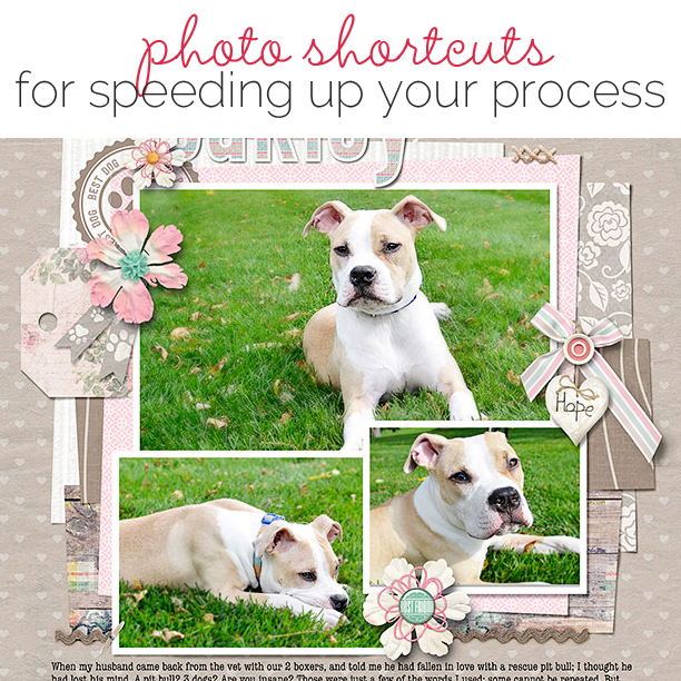 Speed Up Your Scrapbooking With Photo Shortcuts | Get It Scrapped